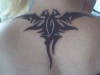 Bat Tattoos 05