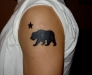 Bear Tattoos
