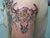 Bull Tattoos 04