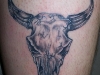 Bull Tattoos 08