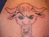 Bull Tattoos 11
