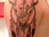Bull Tattoos 13