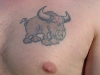 Bull Tattoos 14