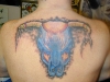 Bull Tattoos 15