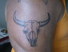 Bull Tattoos 16