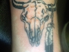 Bull Tattoos 17