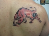 Bull Tattoos 19