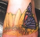 Butterfly And Flower Tattoos 12