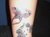 Butterfly And Flower Tattoos 17