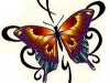 Butterfly Patterns 04