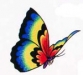 Butterfly Patterns 05