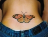 Butterfly Tattoos 03