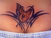 Butterfly Tattoos 04