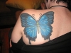 Butterfly Tattoos 10
