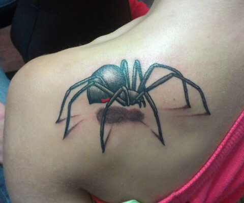 3d spider tattoo by ngoc50-d88c8qy
